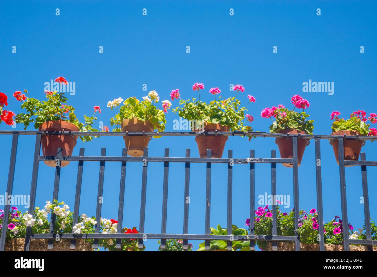 Flowerpots in a banister. Stock Photo
