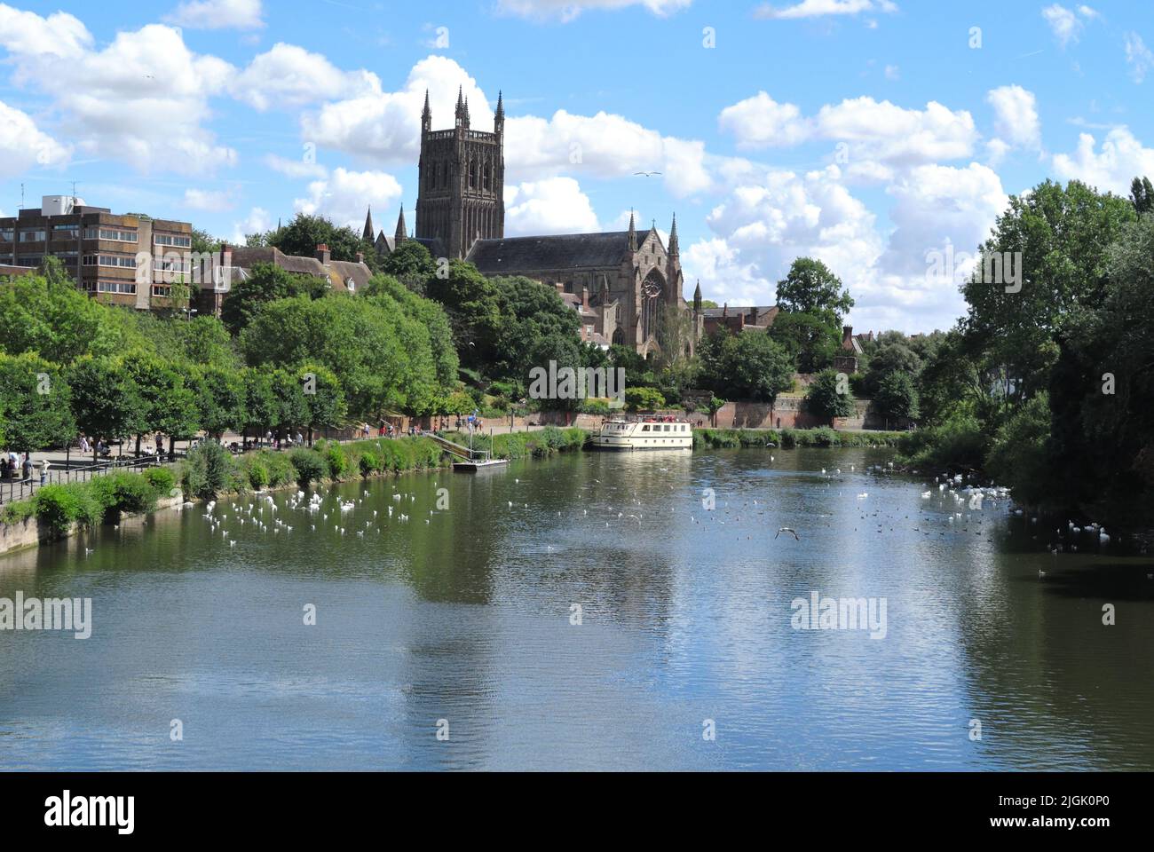 Worcester Cathedral on the River Severn Stock Photo