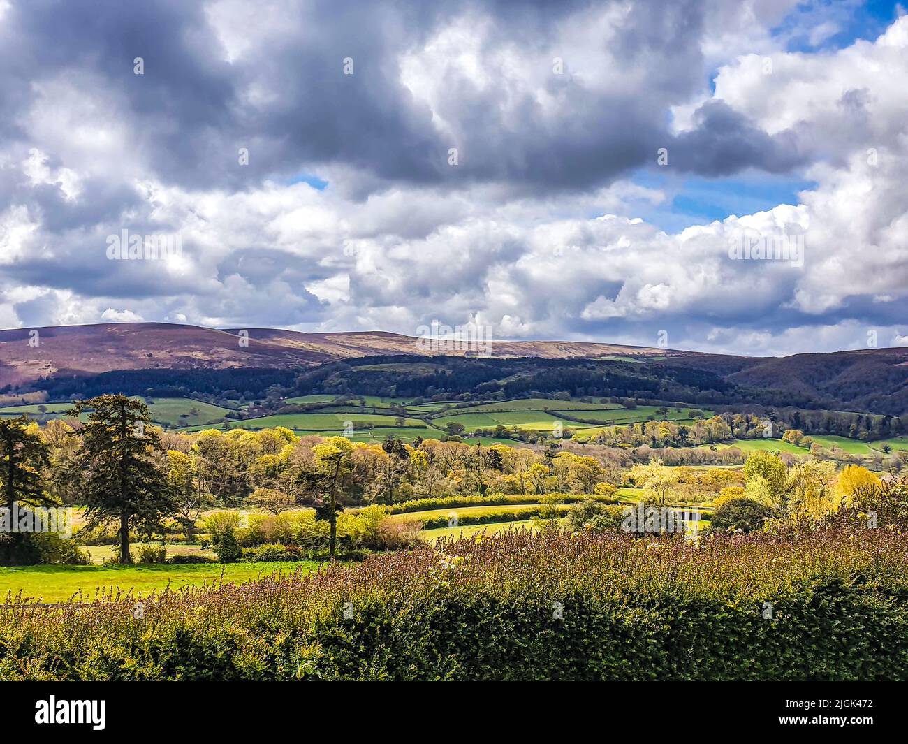 Rolling hills somerset hi-res stock photography and images - Alamy