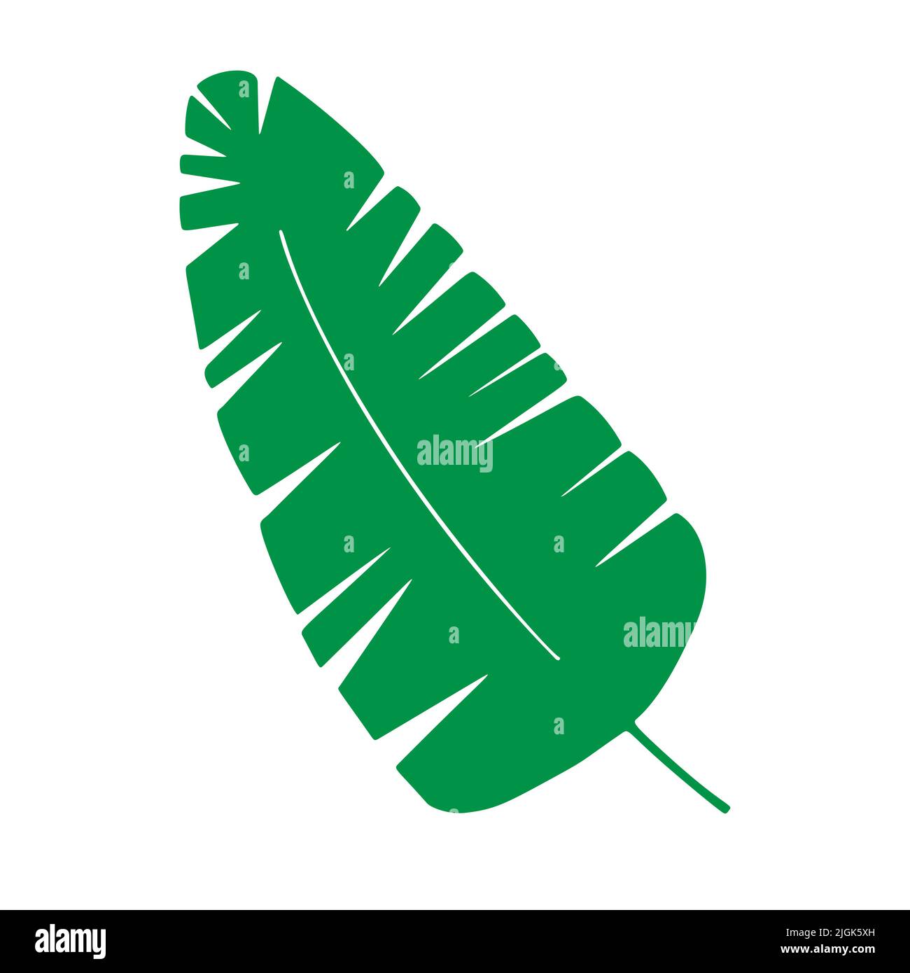 Tropical leaf vector illustration on white background Stock Vector ...