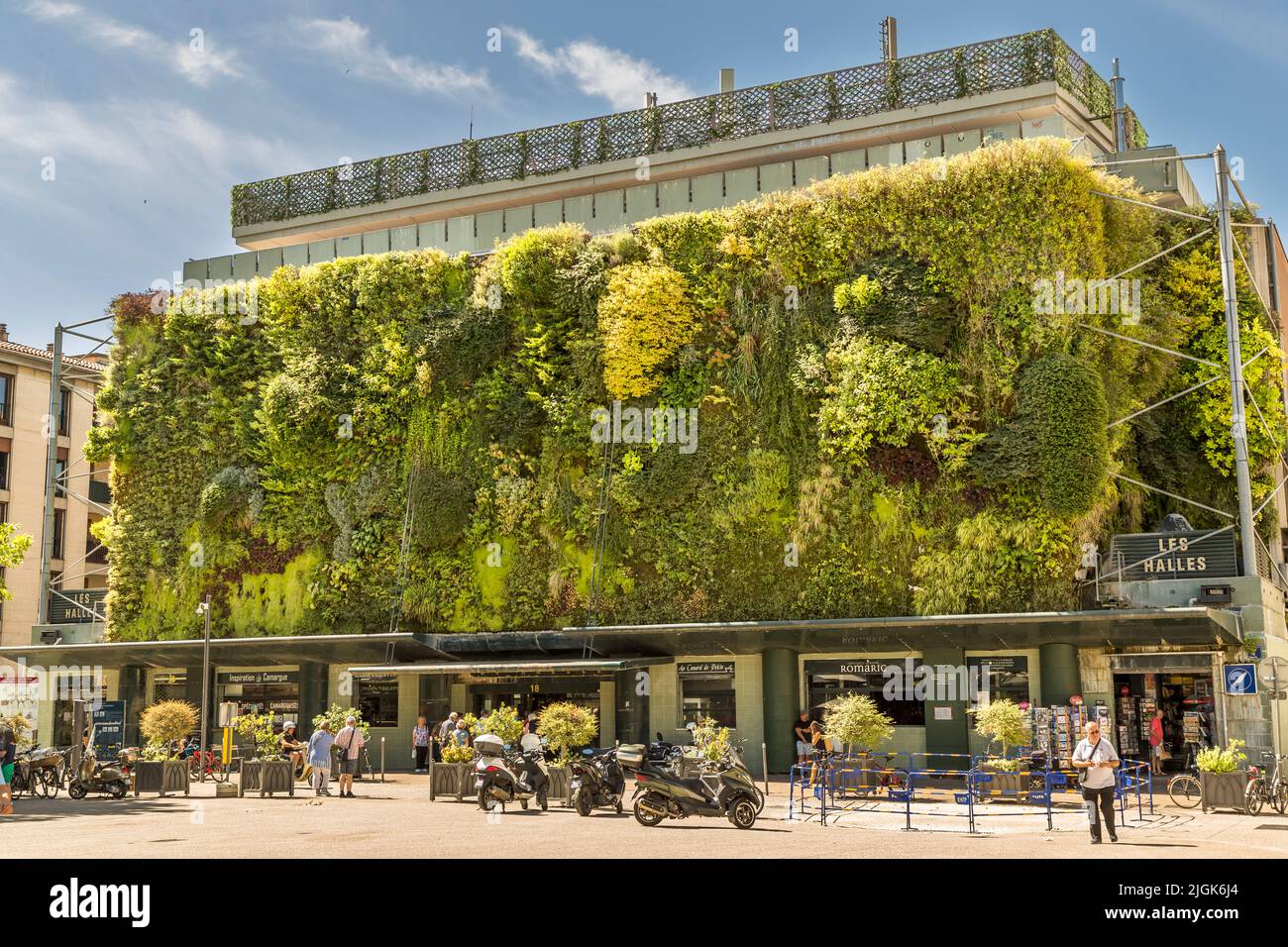 The outer facade of the Avignon (France) market hall is lush with plants. Les Halles market hall in Avignon. Patrick Blanc's plant wall has a sophisticated irrigation system and triggered a boom in vertical urban greening worldwide. 20 plants grow on one square meter Stock Photo