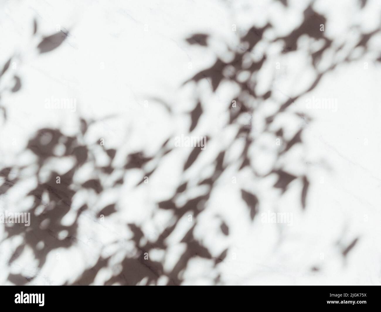 Tree shade shadow pattern hi-res stock photography and images - Alamy
