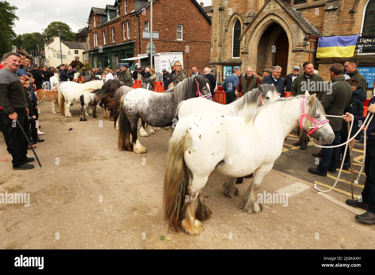Travellers with the ponies they are selling lined up in the street