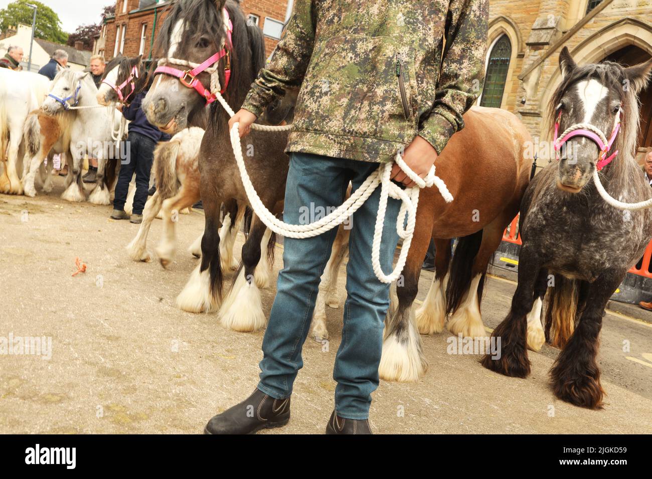 A teenage boys looking after his families ponies, Appleby Horse Fair, Appleby in Westmorland, Cumbria Stock Photo