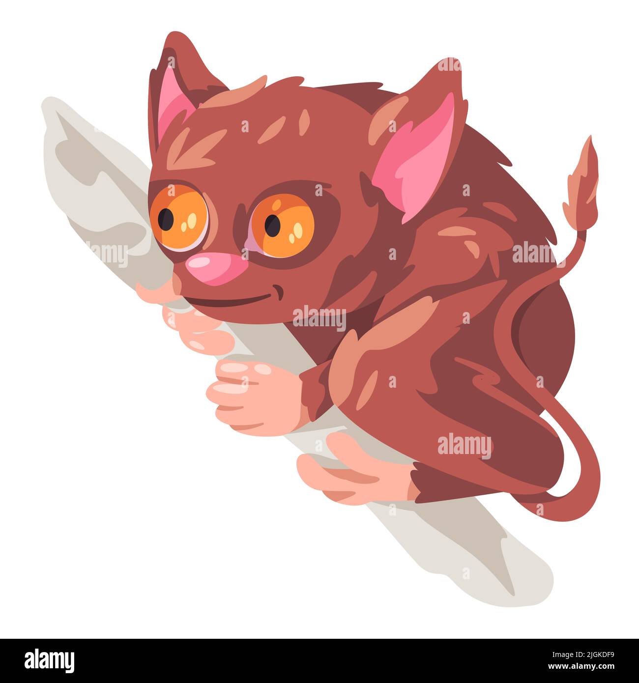 Tarsius tarsier wildlife endangered furry small animal with big adorable eyes from Indonesia Stock Vector