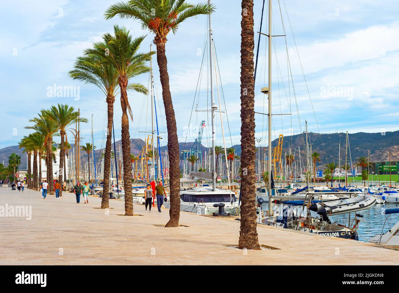 CARTAGENA, SPAIN - NOVEMBER 1, 2021: People walking at embankment with palms by marina with yachts, Cartagena, Spain Stock Photo