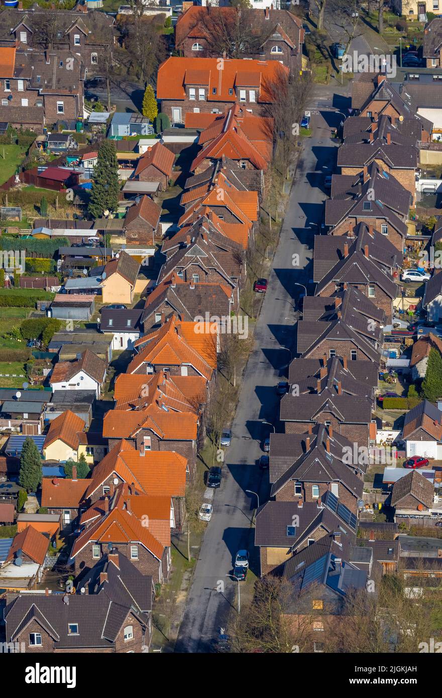 Aerial view, housing estate Holtfortstraße in the district Eigen in Bottrop, Ruhr area, North Rhine-Westphalia, Germany, workers' housing estate, Bott Stock Photo