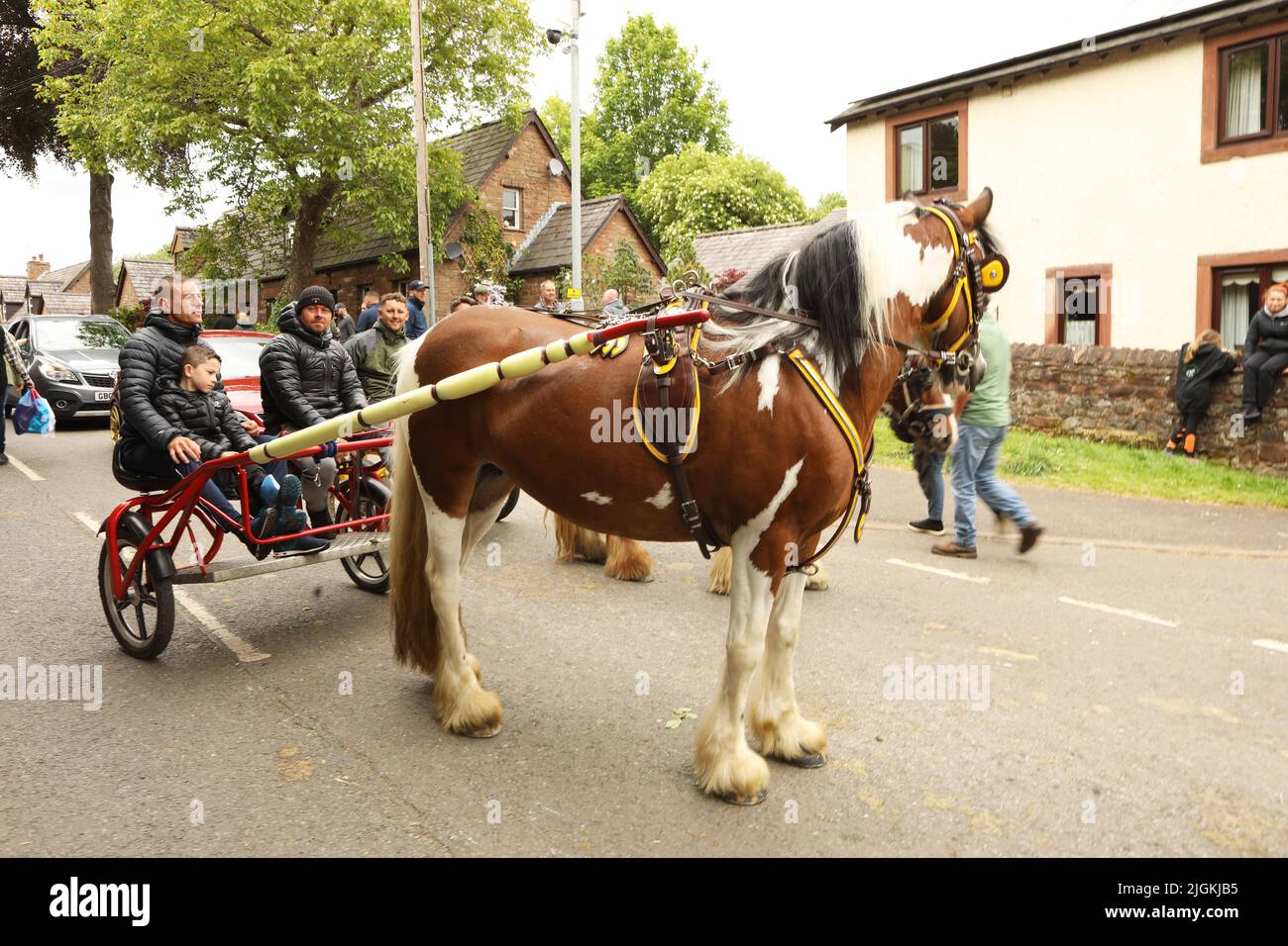 A coloured horse pulling three people in a trap along the road, Appleby