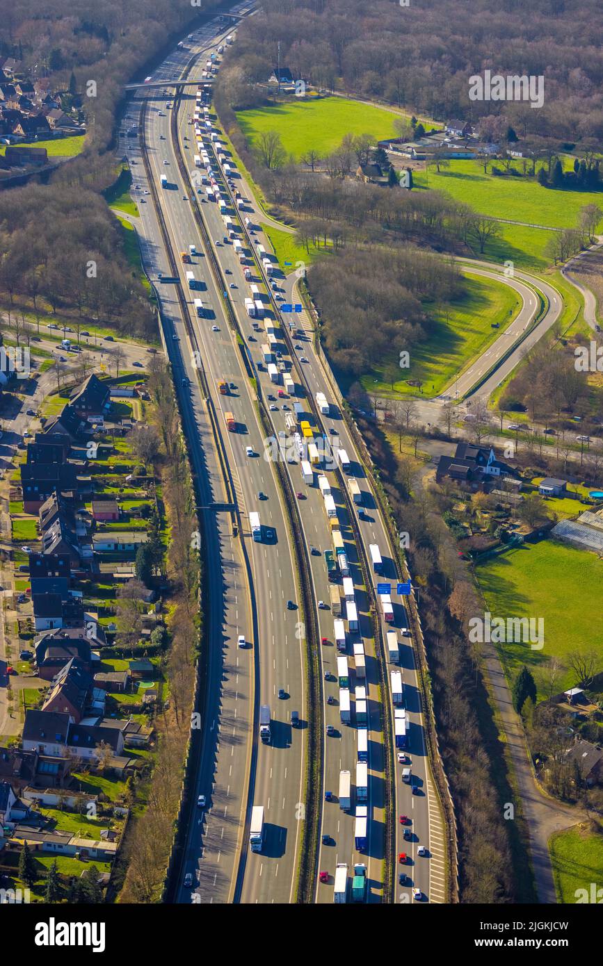 Aerial view, living on the motorway, traffic jam on the A2 motorway, city forest, Bottrop, Ruhr area, North Rhine-Westphalia, Germany, motorway, DE, E Stock Photo