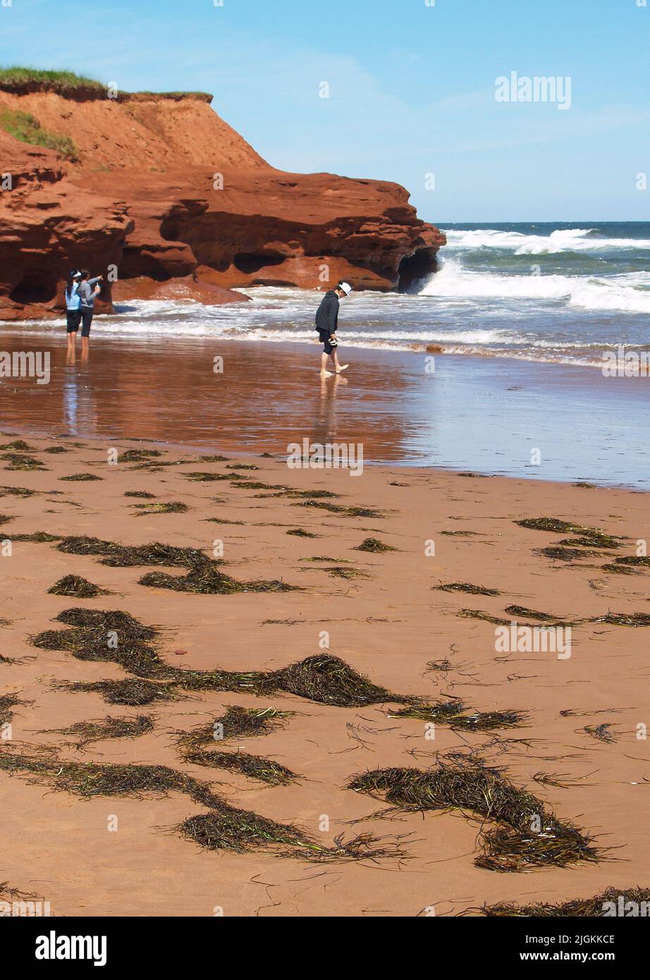 Thunder Cove Beach, PEI Stock Photo Alamy