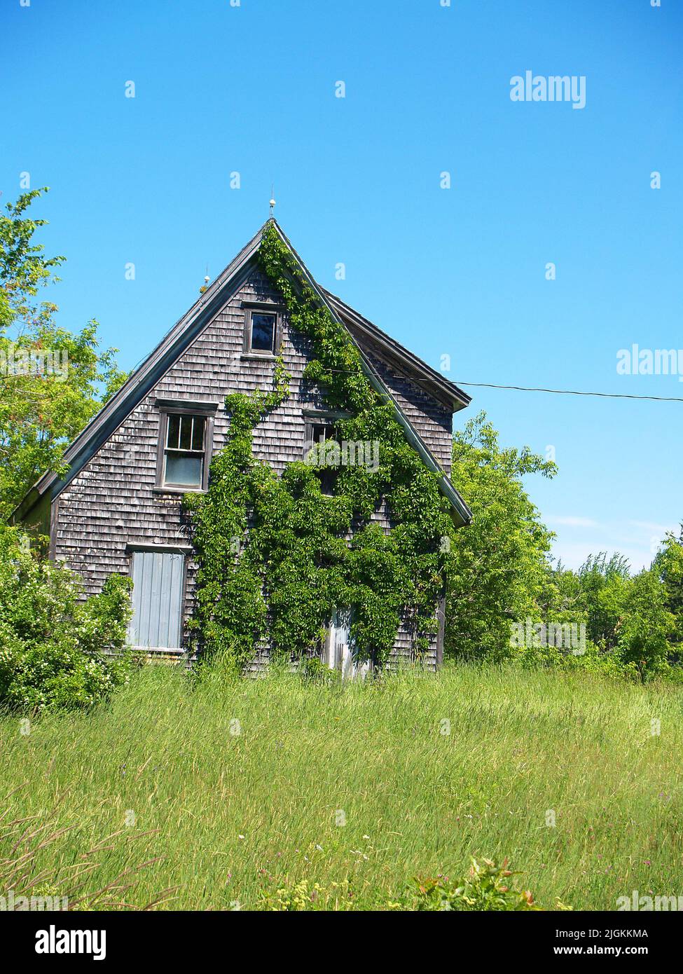 Old, abandoned house covered over with creeping vine, PEI Stock Photo ...