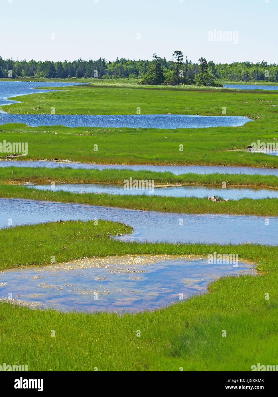 Tidal ponds, PEI Stock Photo Alamy