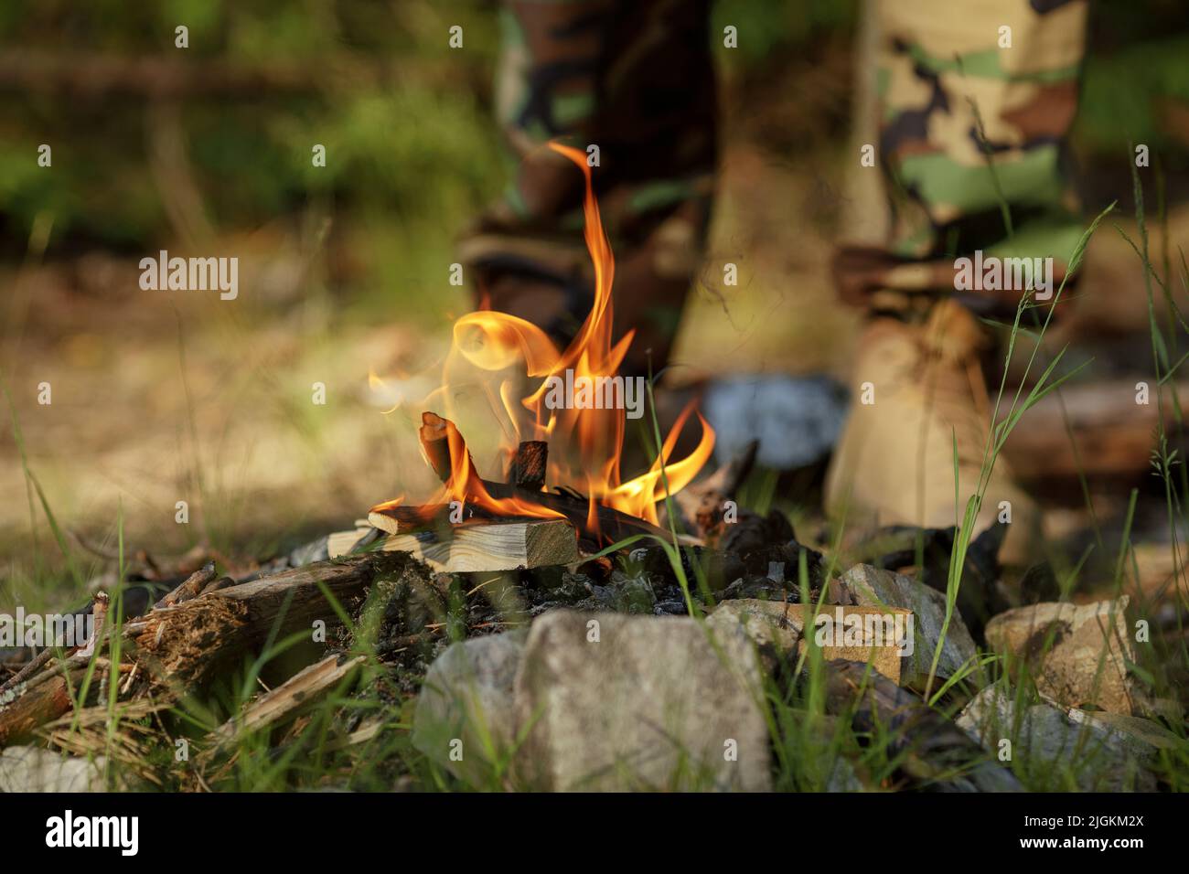 Close up of burning timber bonfire in summer forest. The concept of ...