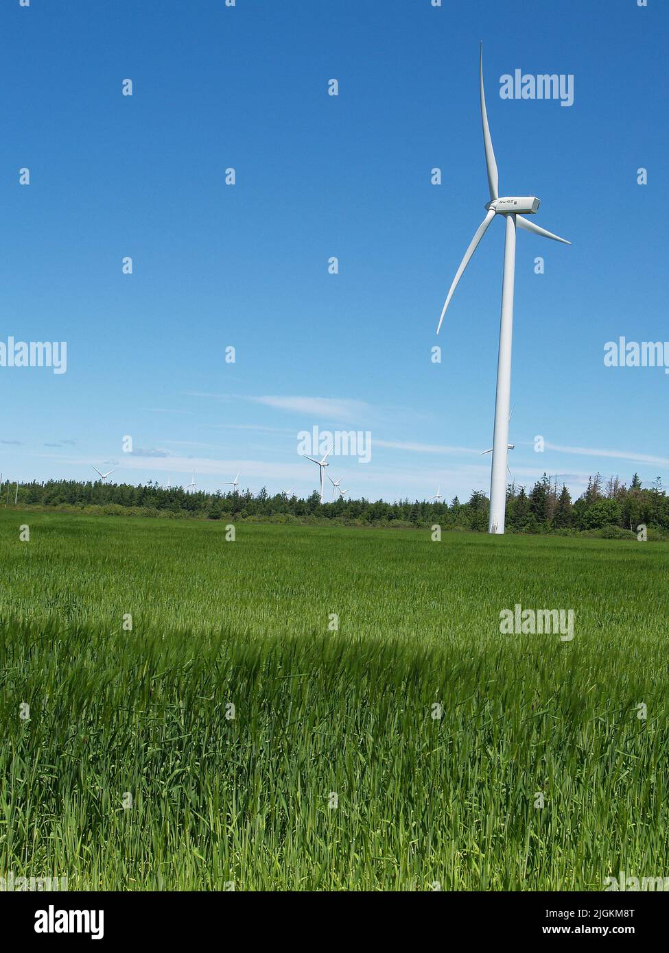 West Cape Wind Park, PEI Stock Photo Alamy