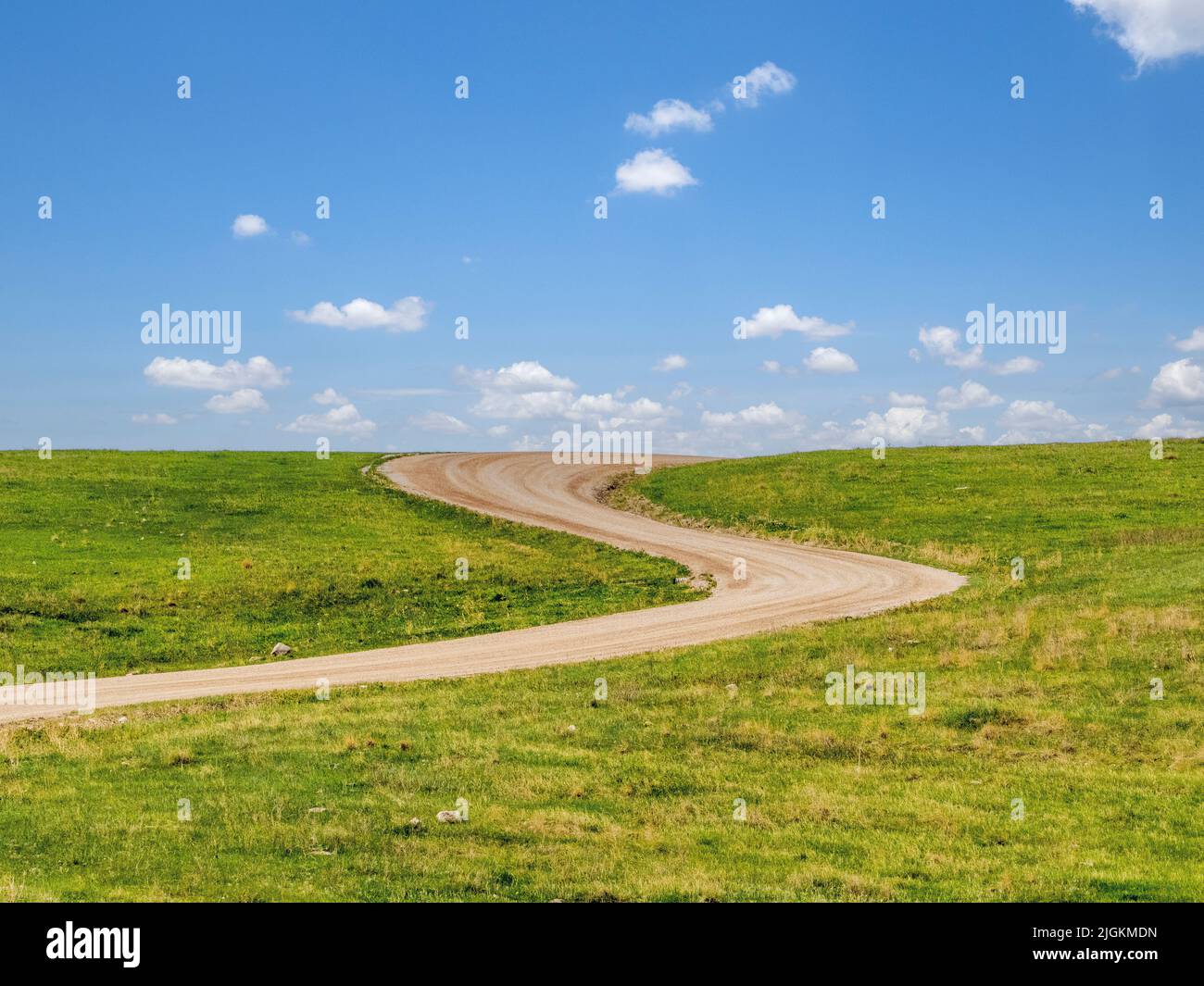 Oak Draw dirt road in Custer State Park in South Dakota USA Stock Photo