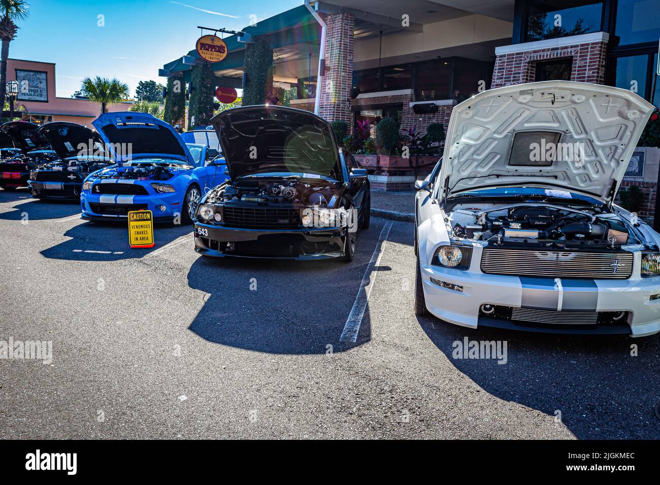 Fernandina Beach, FL October 18, 2014 Line of several late model