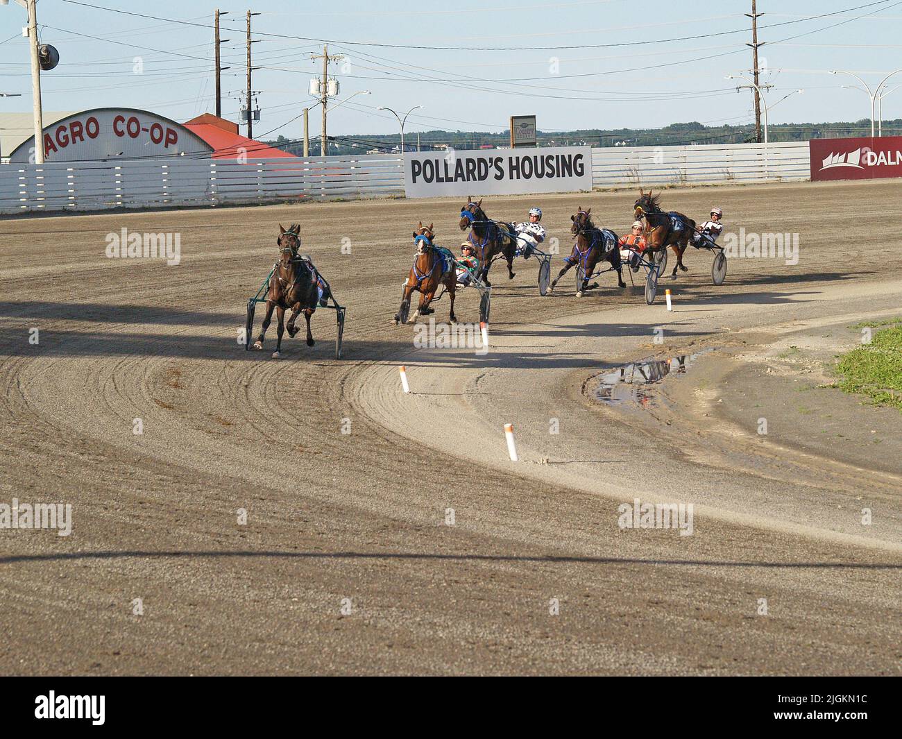 Red shores harness racing hi-res stock photography and images - Alamy