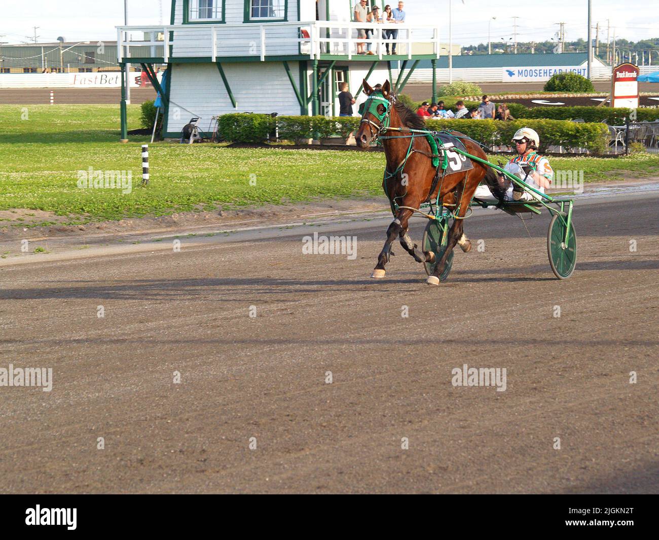 Red shores harness racing hi-res stock photography and images - Alamy