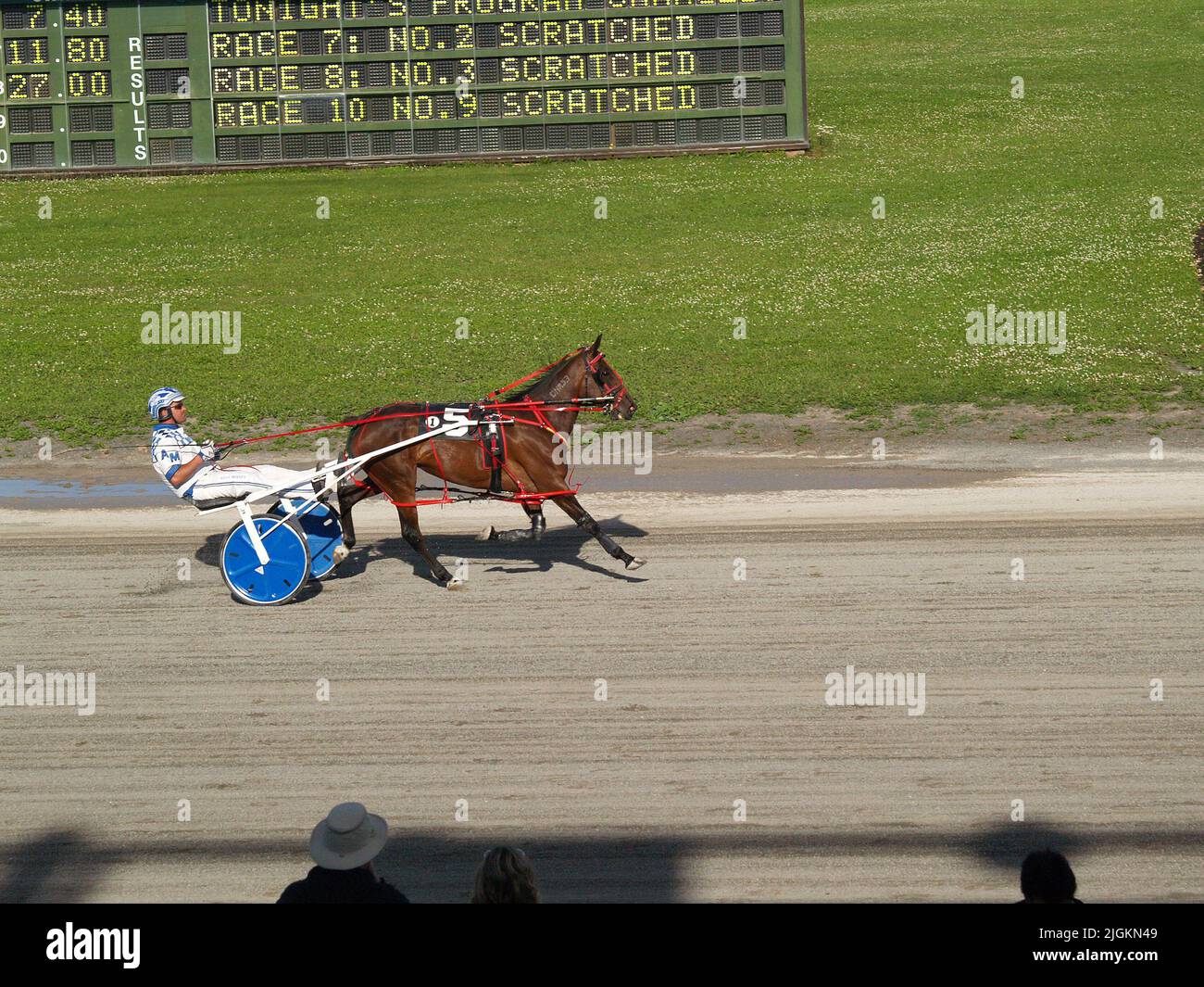 Red shores harness racing hi-res stock photography and images - Alamy