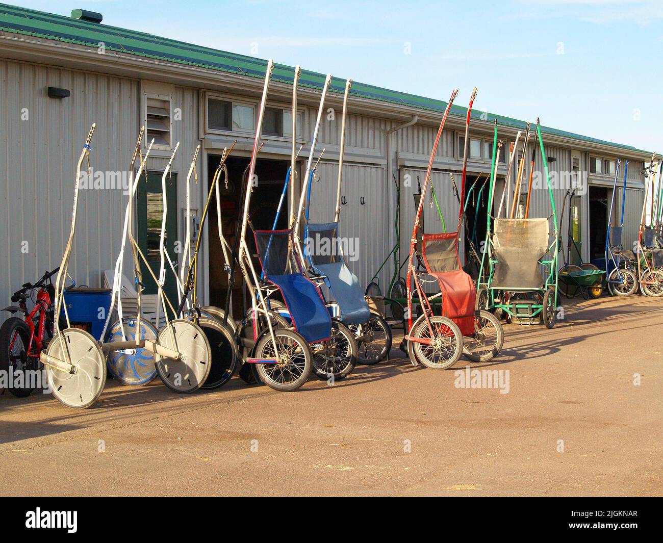 Red shores harness racing hi-res stock photography and images - Alamy