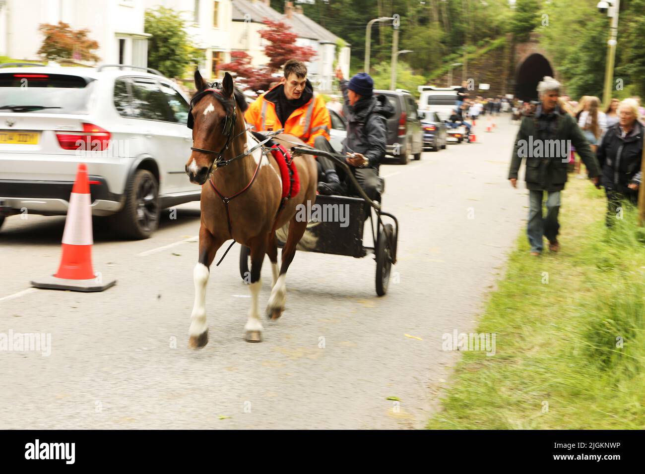A coloured horse pulling a trap along the road, Appleby Horse Fair, Appleby in Westmorland, Cumbria Stock Photo