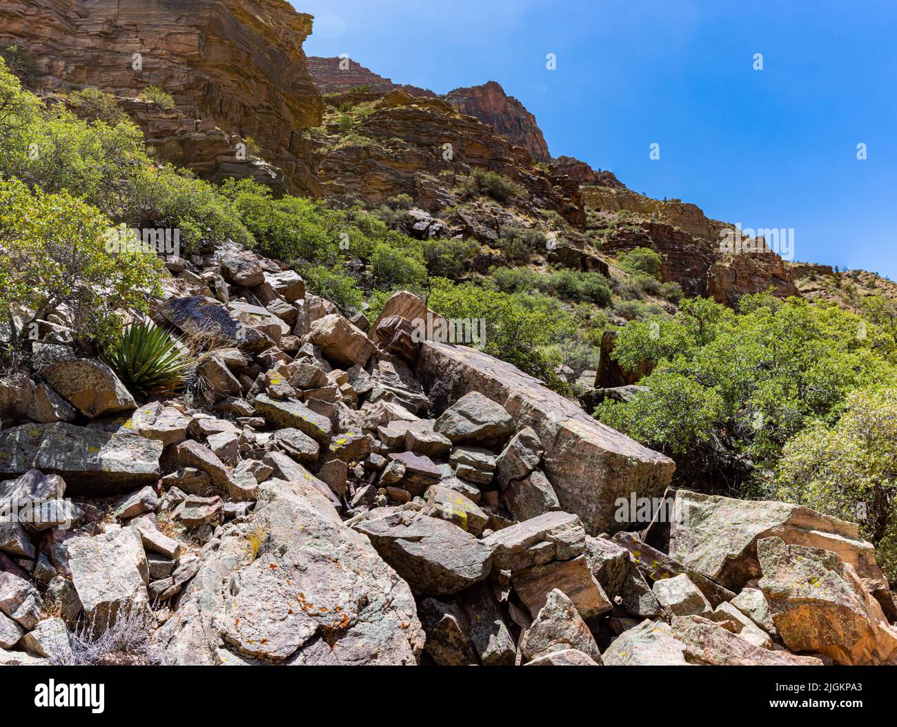 Rockslide Beside The North Kaibab Trail, Grand Canyon National Park, Arizona, USA Stock Photo