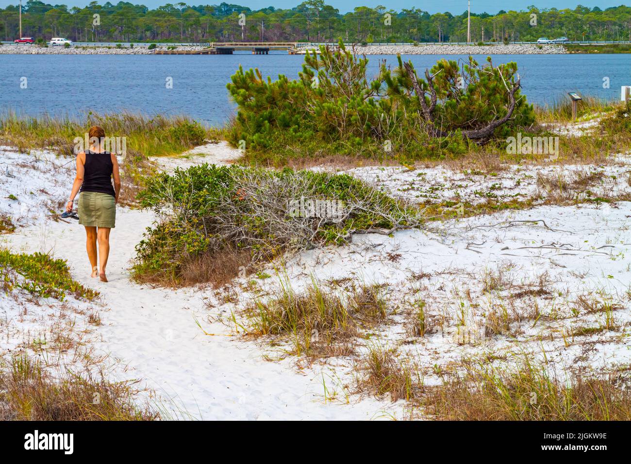 Woman Walking on Interpretive Trail Near Western Lake, Grayton Beach State Park, Santa Rosa Beach, Florida, USA Stock Photo