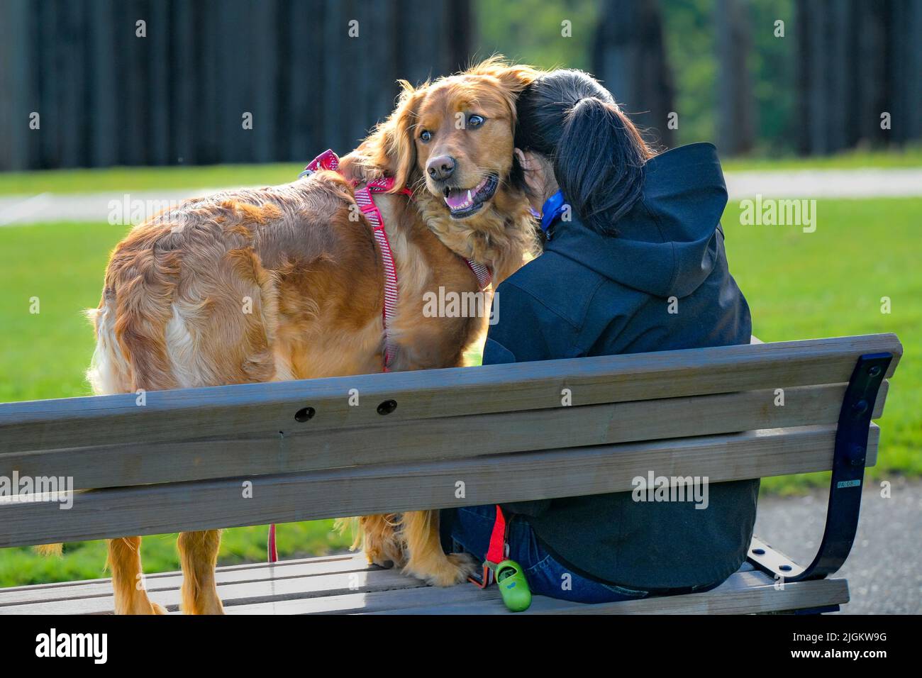 Young woman and dog on park bench Stock Photo