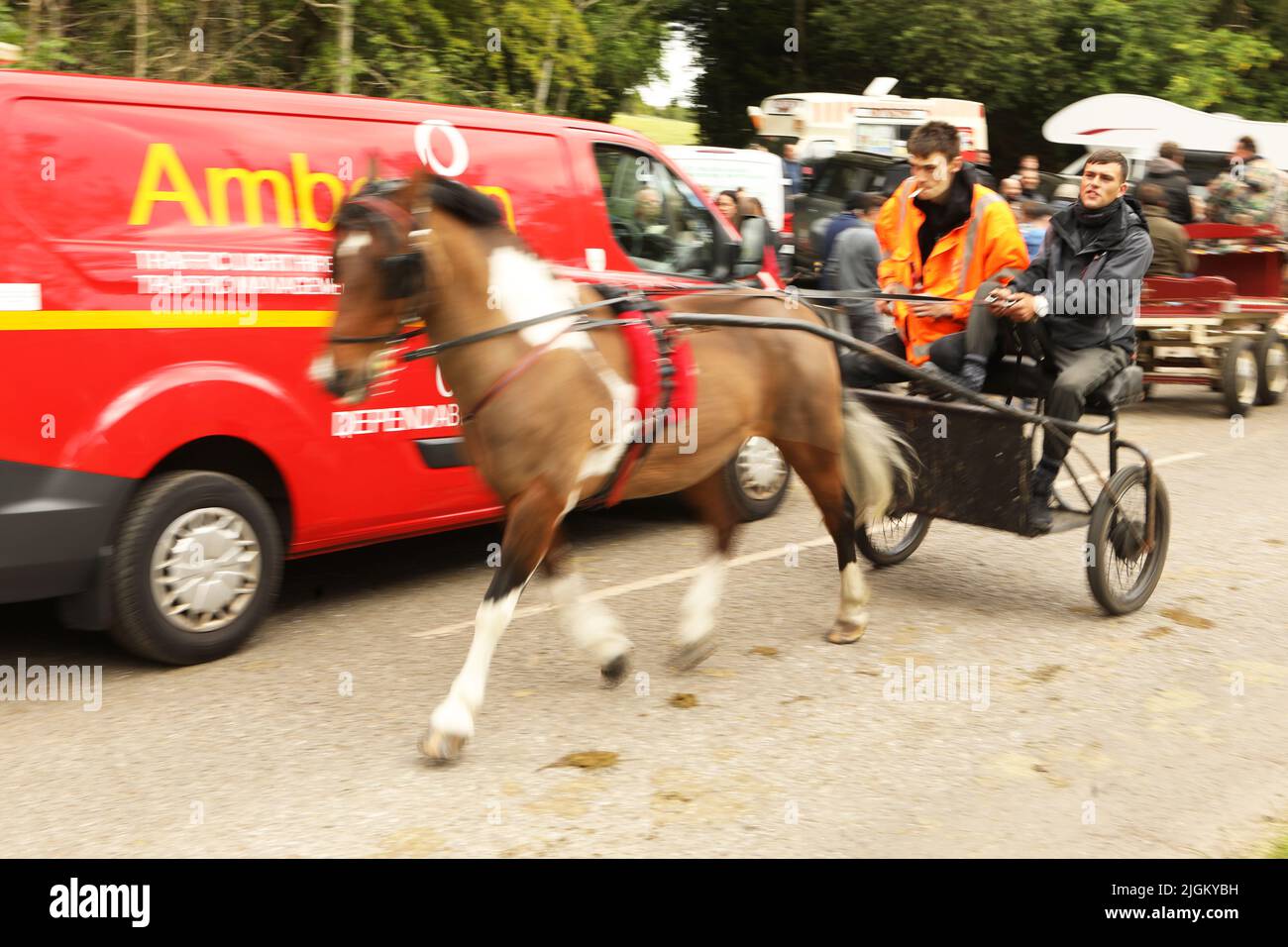 A coloured horse pulling two young male travellers in a trap. Appleby Horse Fair, Appleby in Westmorland, Cumbria Stock Photo