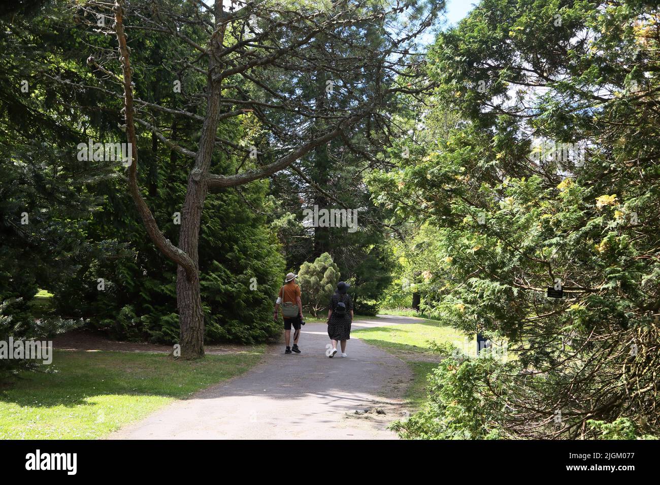 Man And Woman Strolling through Sir Harold Hillier Gardens Ampfield Romsey Hampshire England