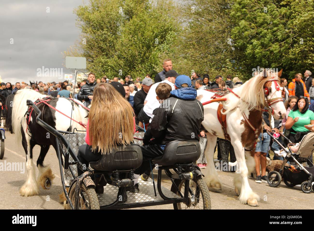 Coloured horses pulling people in traps along the busy road. Appleby