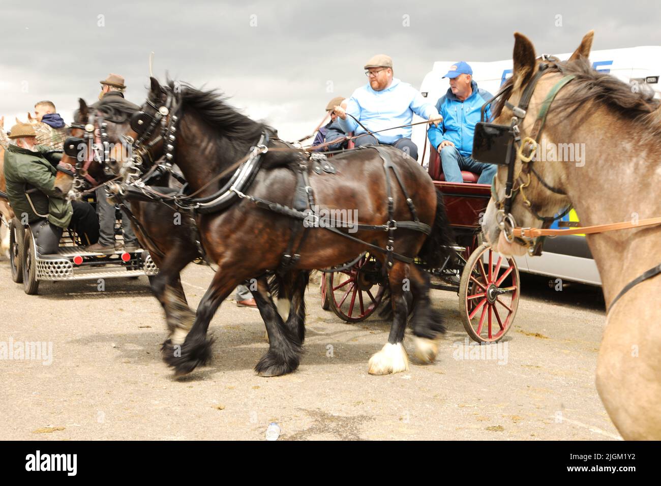 Two horses pulling a trap, turning in the road. Appleby Horse Fair, Appleby in Westmorland, Cumbria, England, United Kingdom Stock Photo