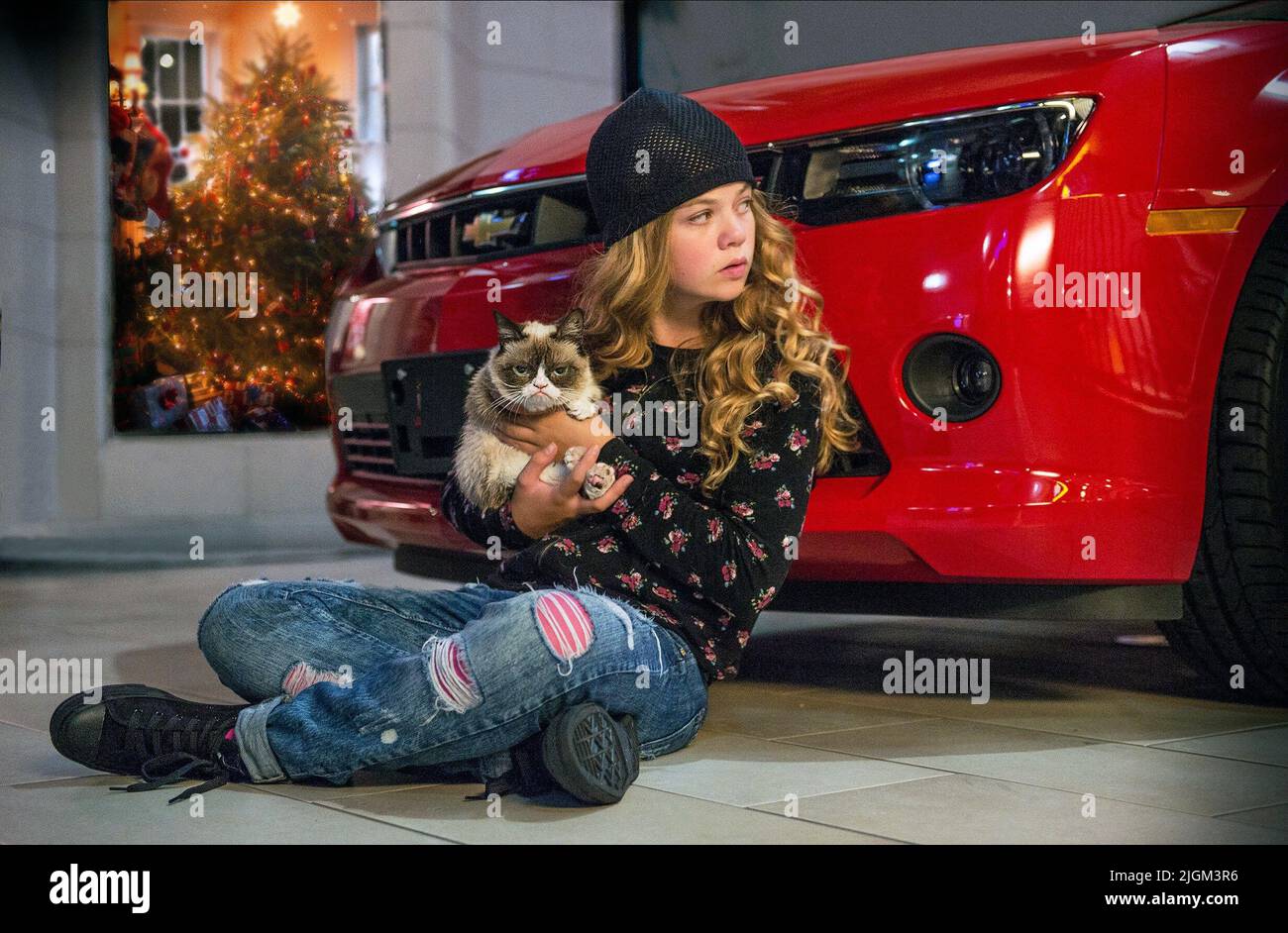 CHARPENTIER,CAT, GRUMPY CAT'S WORST CHRISTMAS EVER, 2014 Stock Photo