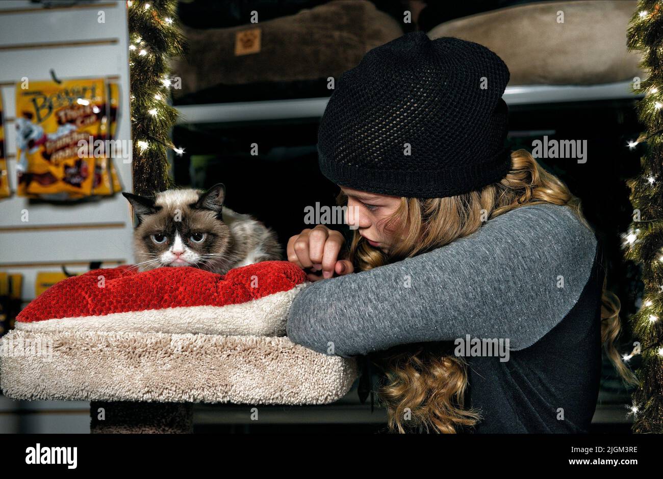 MEGAN CHARPENTIER, GRUMPY CAT, GRUMPY CAT'S WORST CHRISTMAS EVER, 2014 Stock Photo