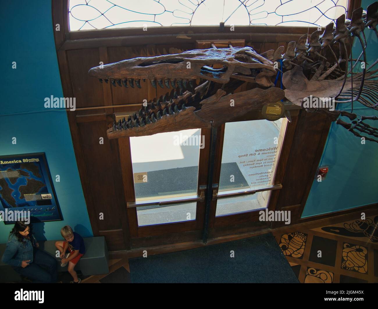 Lawrence, Kansas July 10, 2022 Large Dinosaur fossils assembled in