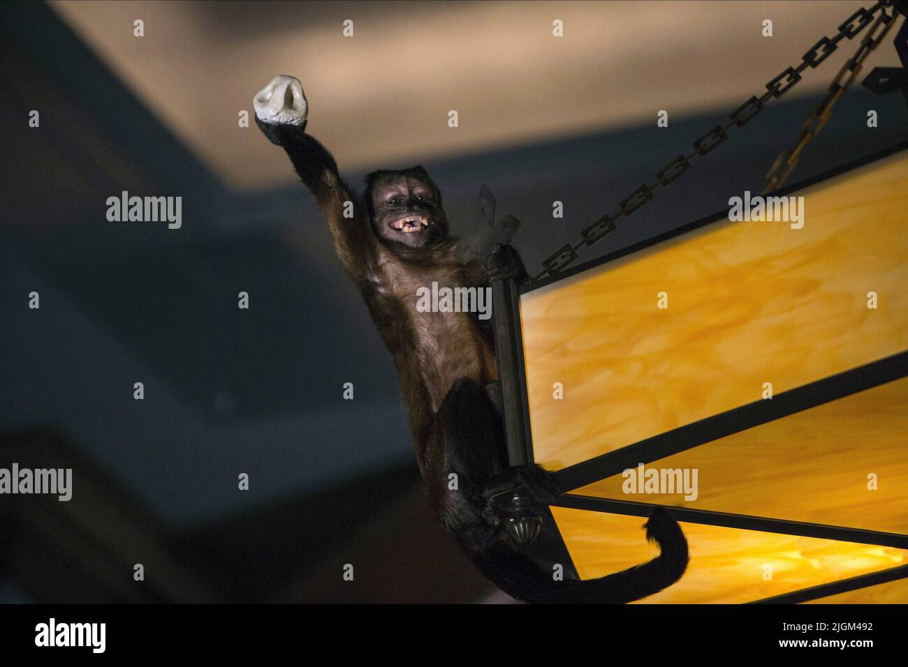 CRYSTAL THE MONKEY AS DEXTER, NIGHT AT THE MUSEUM SECRET OF THE TOMB