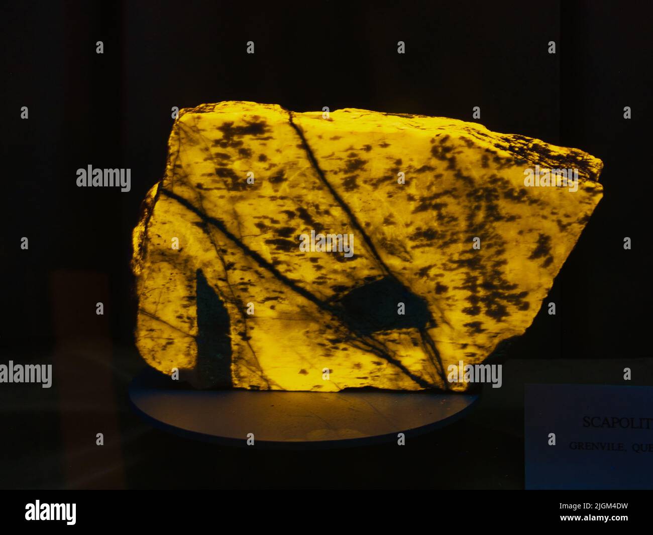 Yellow and Black Glowing Scapolite Rock - Geology Rocks Stock Photo - Alamy