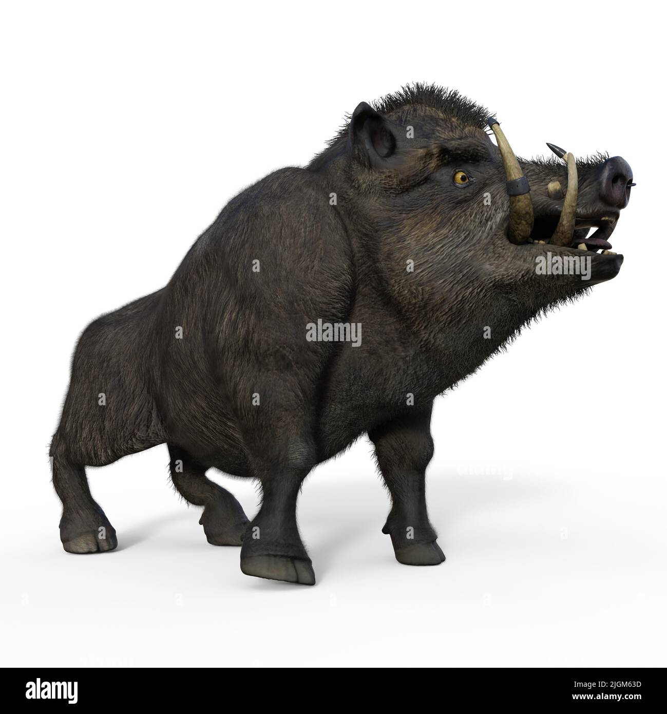 Cartoon illustration wild pig boar hi-res stock photography and images ...