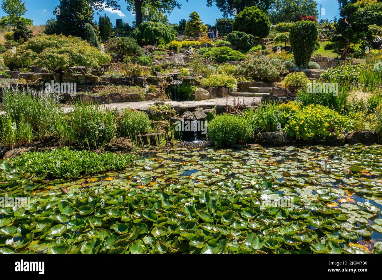 The Rockery,Rock Garden,RHS Wisley,Gardens,England, Stock Photo