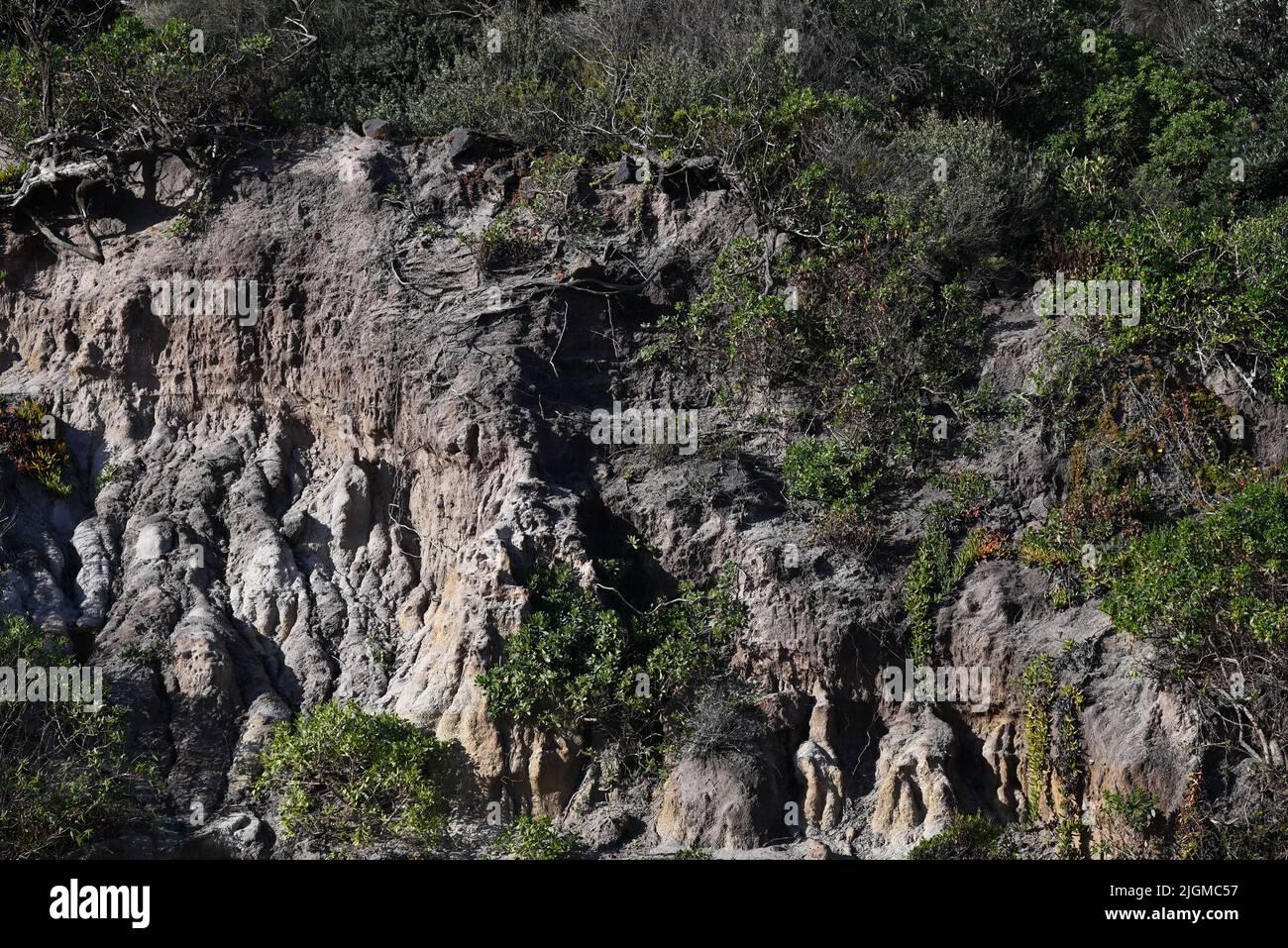Dark cliff face, bathed in sunlight and covered by patches of vegetation Stock Photo