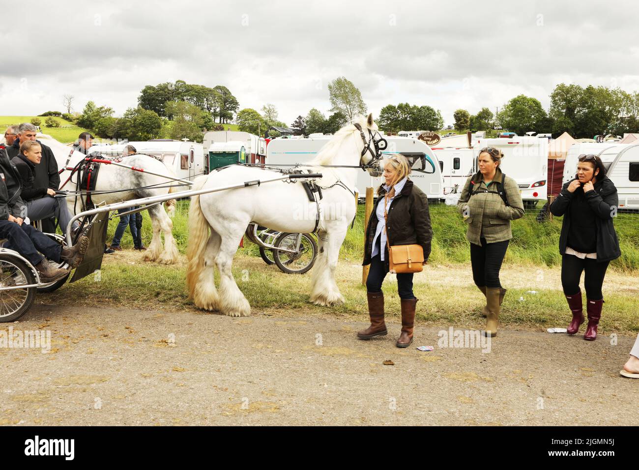 Travellers driving a grey horse and trap near the campsite. Appleby Horse Fair, Appleby in Westmorland, Cumbria, England, United Kingdom Stock Photo