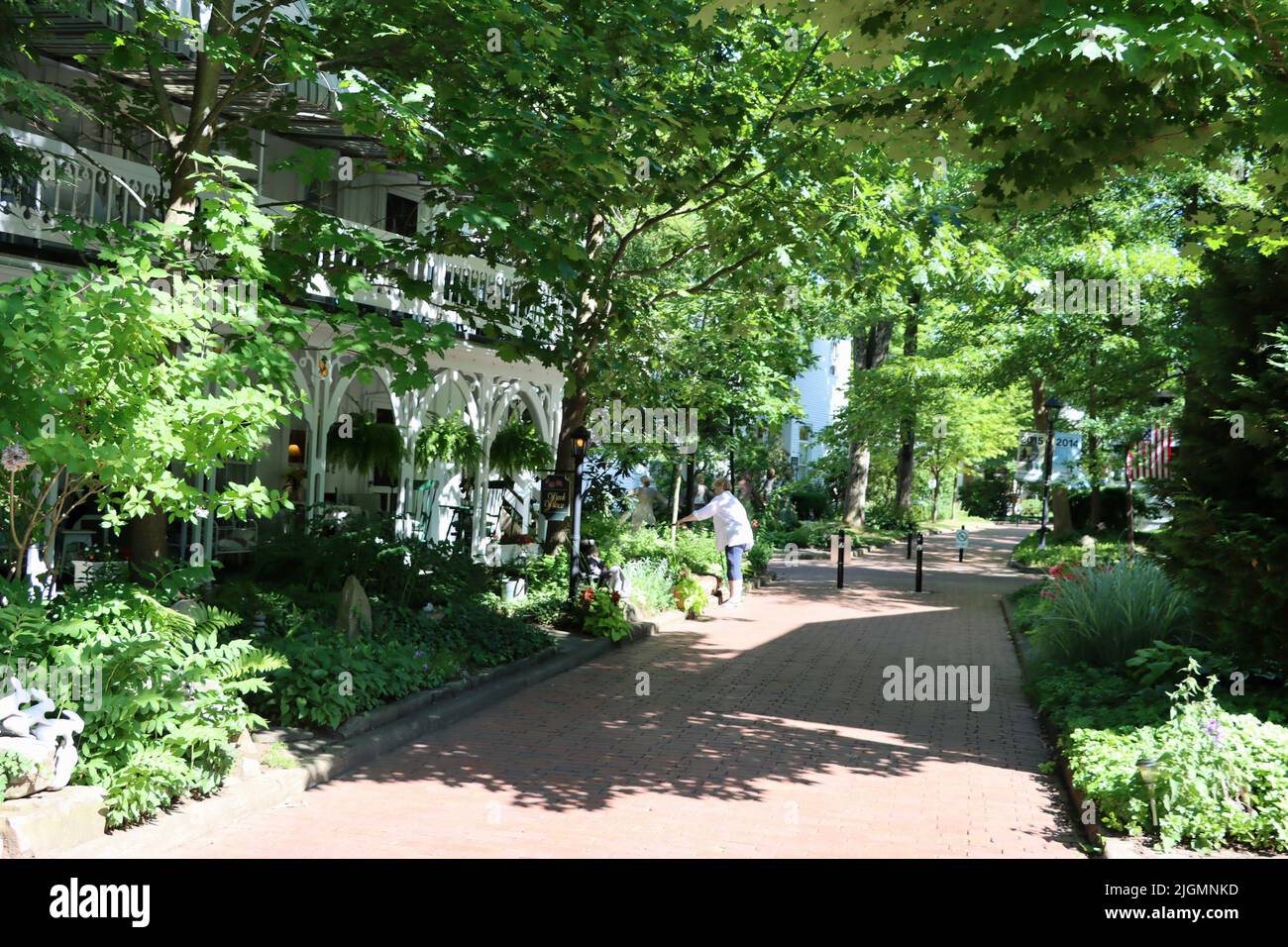 Woman watering front garden of her house on Ramble avenue in Chautauqua Institution area in Chautauqua. New York State. Stock Photo