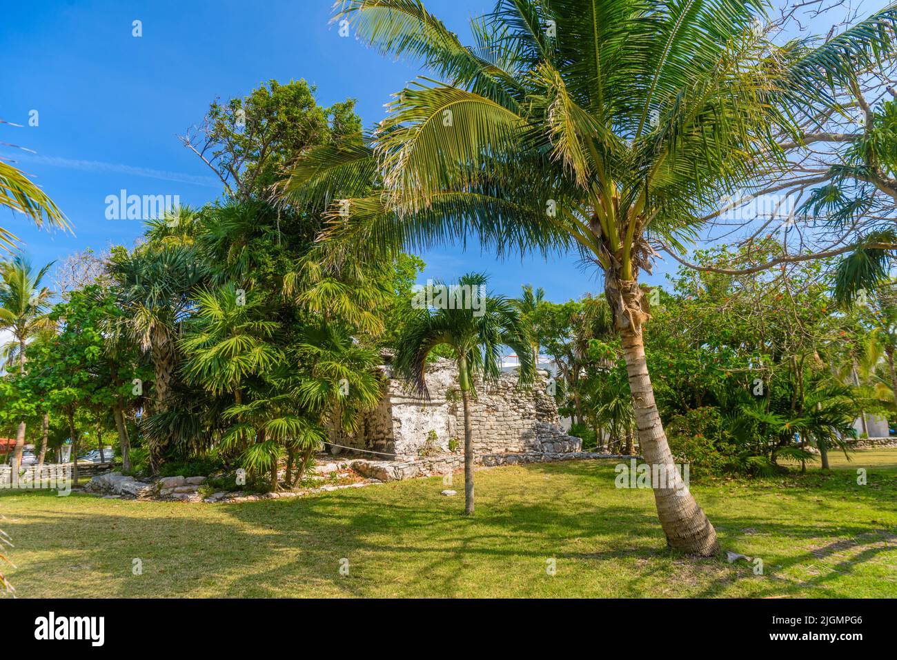 Playacar Mayan ruins in the forest park in Playa del Carmen, Yucatan