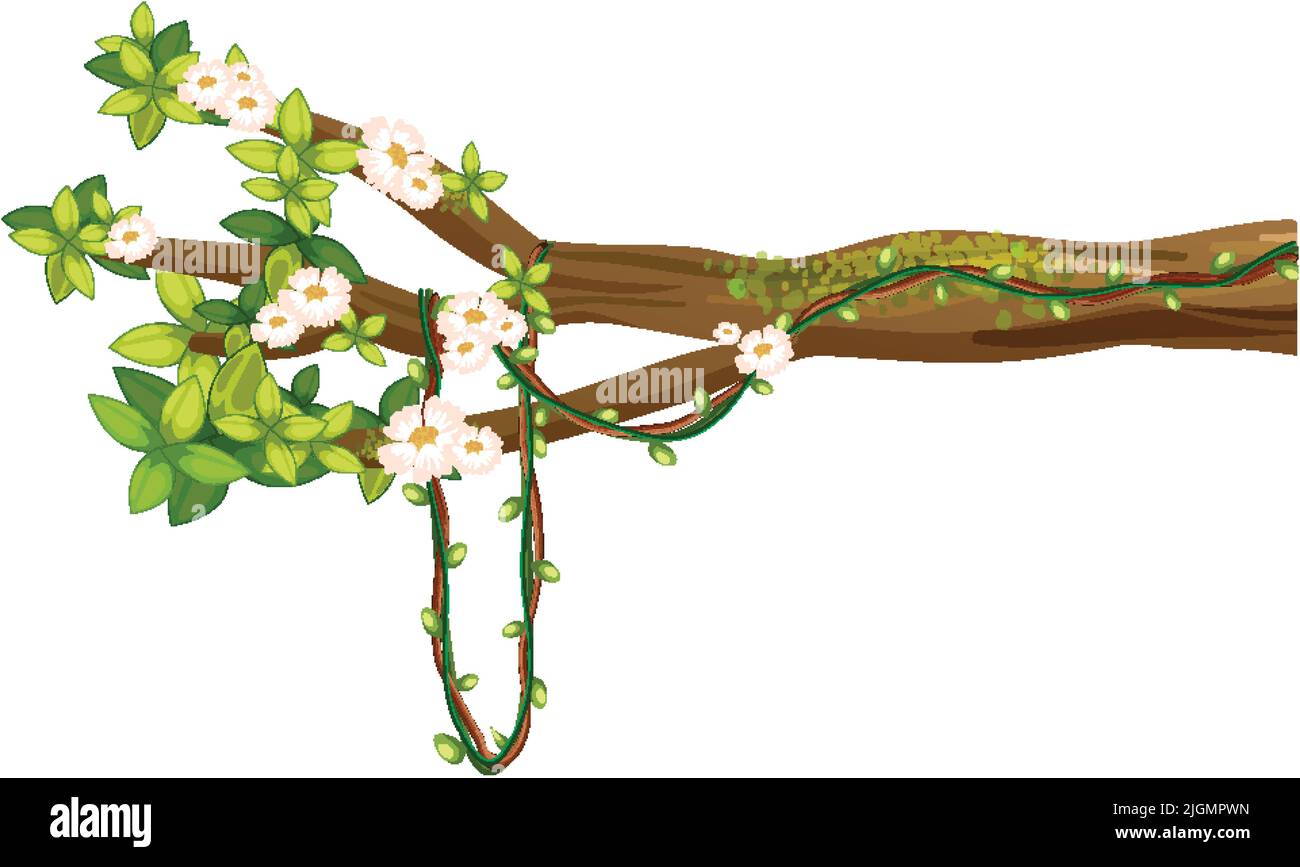 Cherry blossom branch isolated illustration Stock Vector Image & Art ...