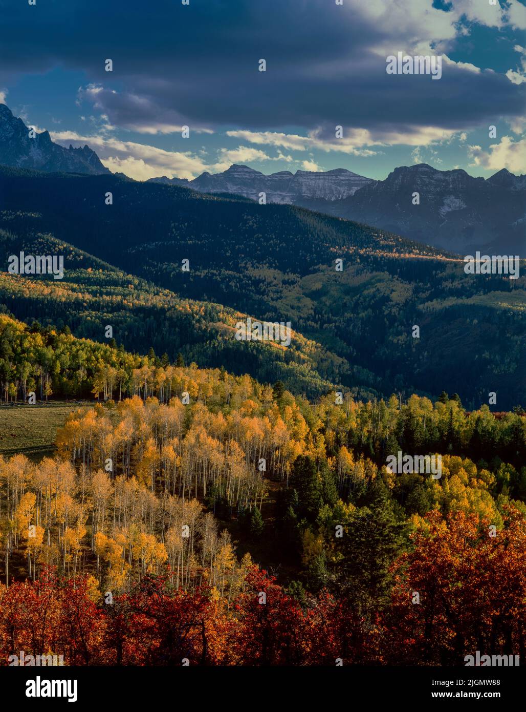 Autumn, Dallas Divide, Uncompahgre National Forest, Ouray County, Colorado Stock Photo