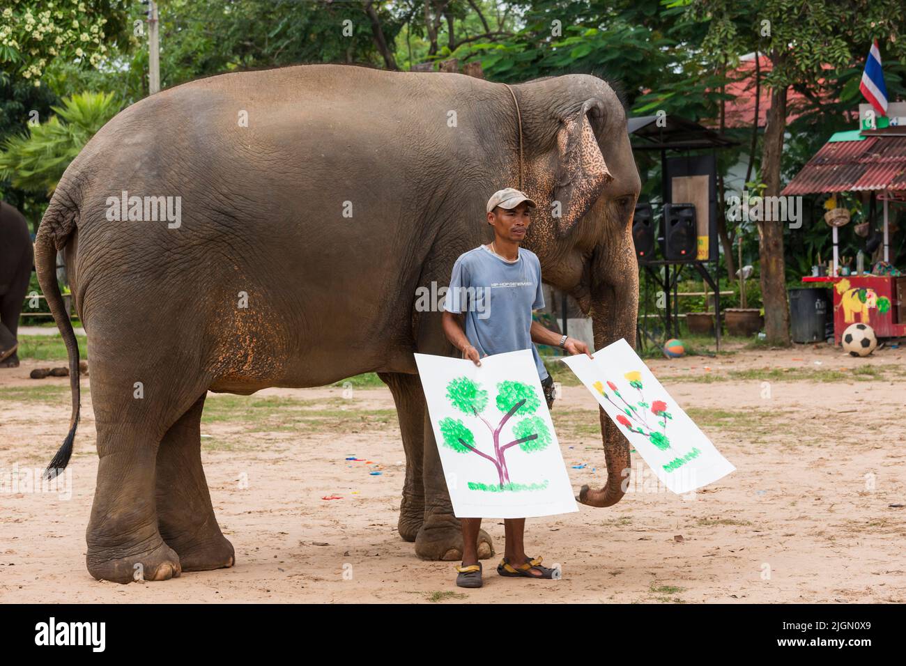 Elephant village, elephant show, painting, performance, Surin, Isan(Isaan),Thailand, Southeast Asia, Asia Stock Photo