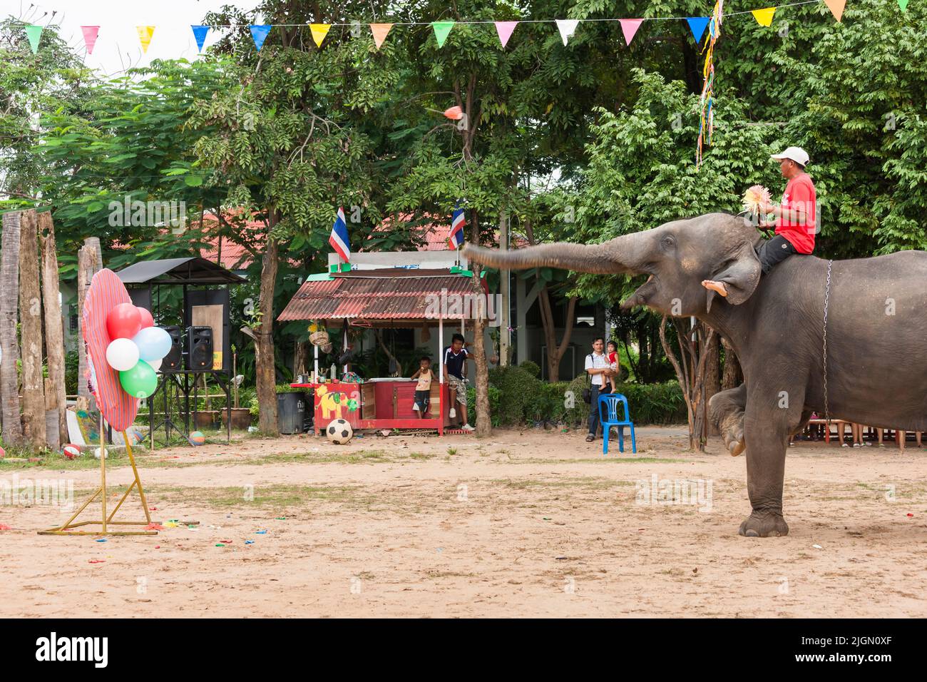 Elephant village, darts game, breaking balloons, elephant show