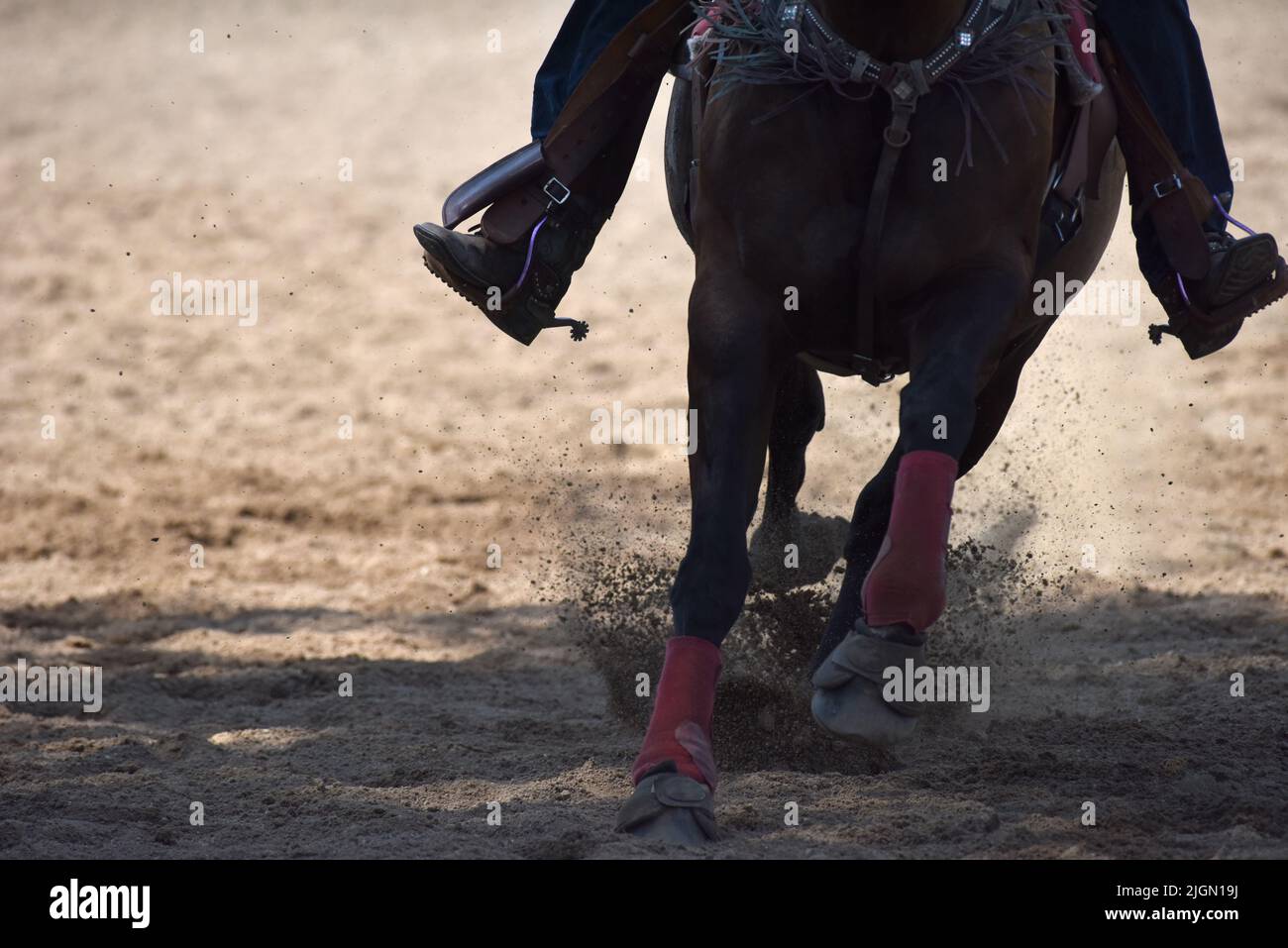 Closeup of the hooves of a horse at a gallop with the boots and spurs of the rider visible. Stock Photo