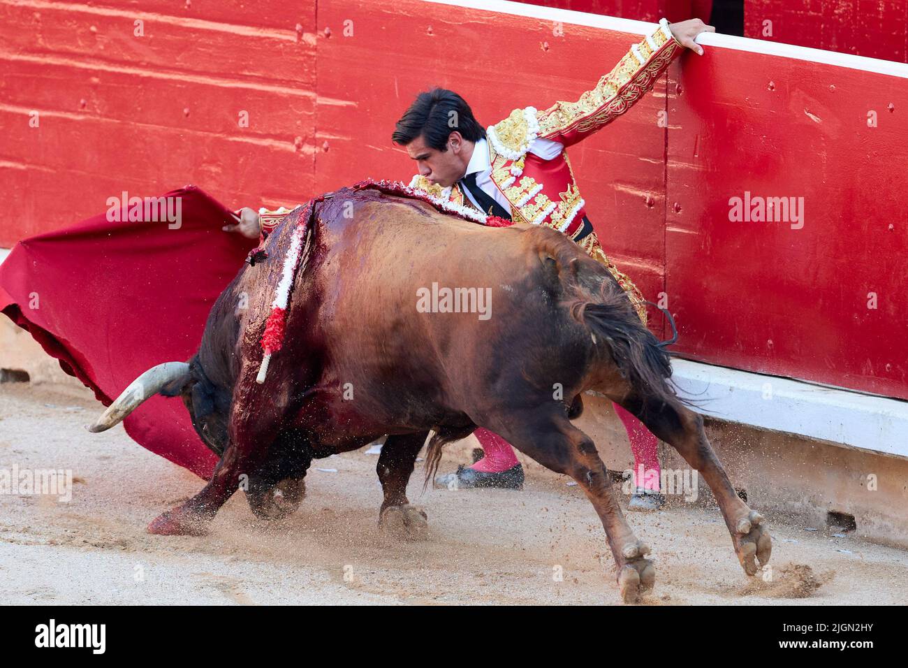 Pamplona, Spain. 11th July, 2022. Jes?s Enrique Colombo, bullfighter seen fighting the third bull of the afternoon during the festivities of San Fermin 2022. Credit: SOPA Images Limited/Alamy Live News Stock Photo
