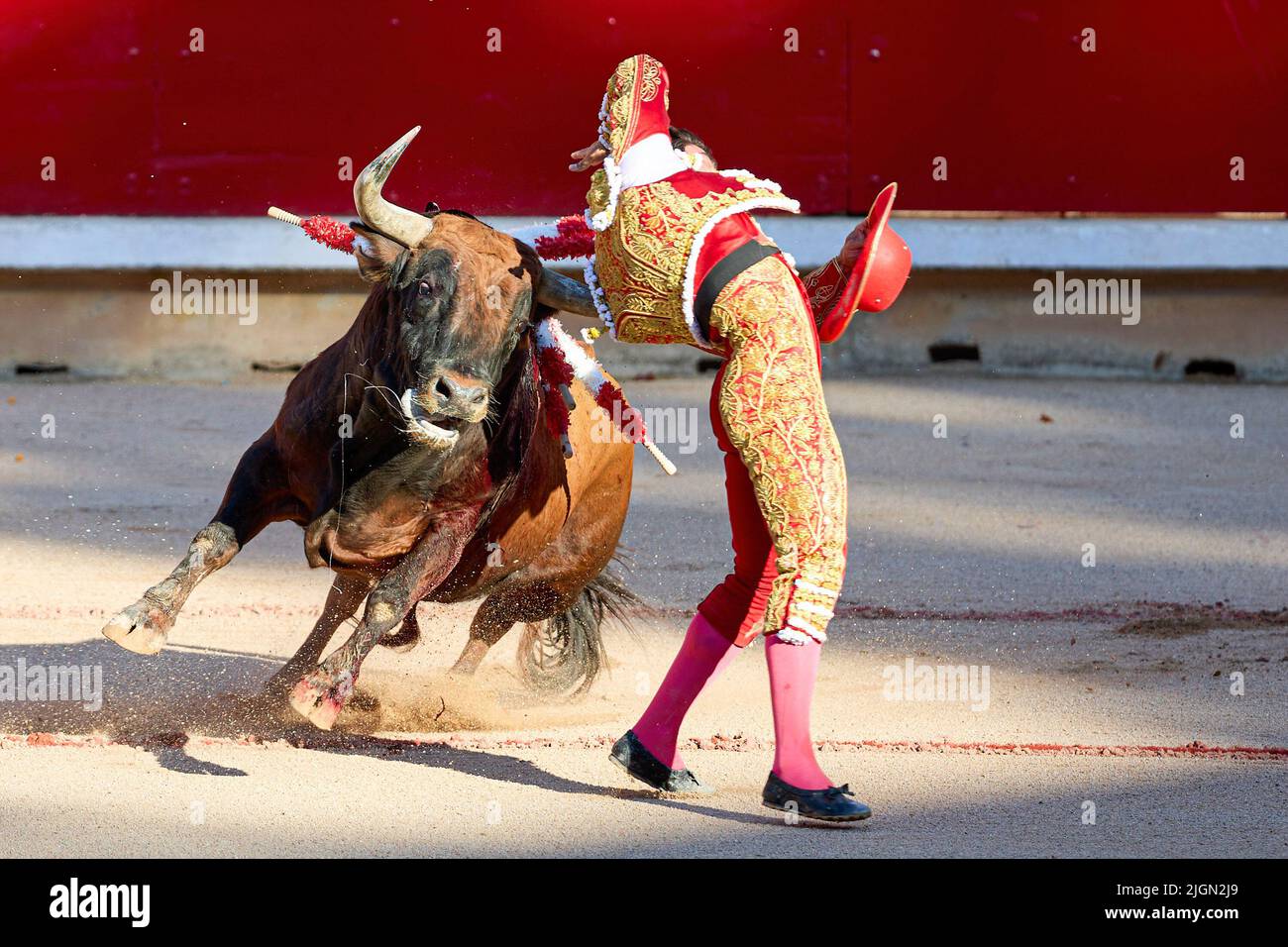Pamplona, Spain. 11th July, 2022. Jes?s Enrique Colombo, bullfighter seen fighting the third bull of the afternoon during the festivities of San Fermin 2022. Credit: SOPA Images Limited/Alamy Live News Stock Photo
